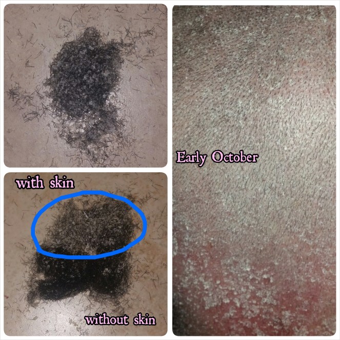 PhotoGrid_1444578031453