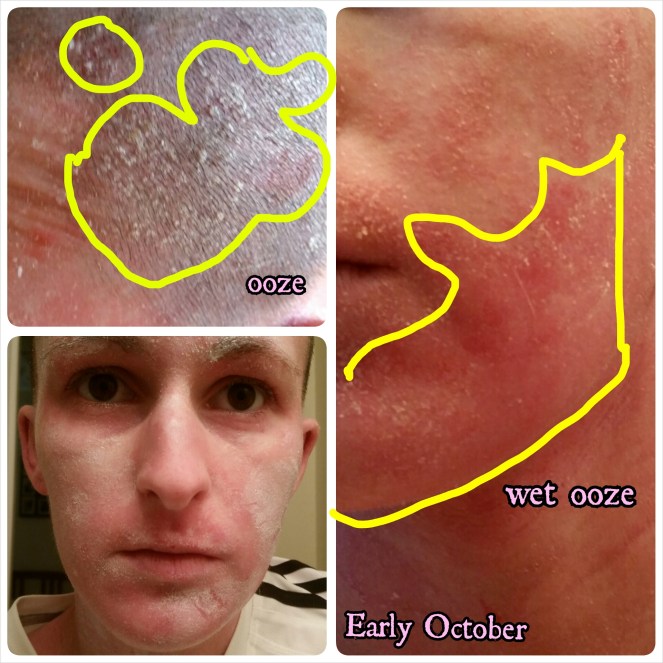 PhotoGrid_1444578571239