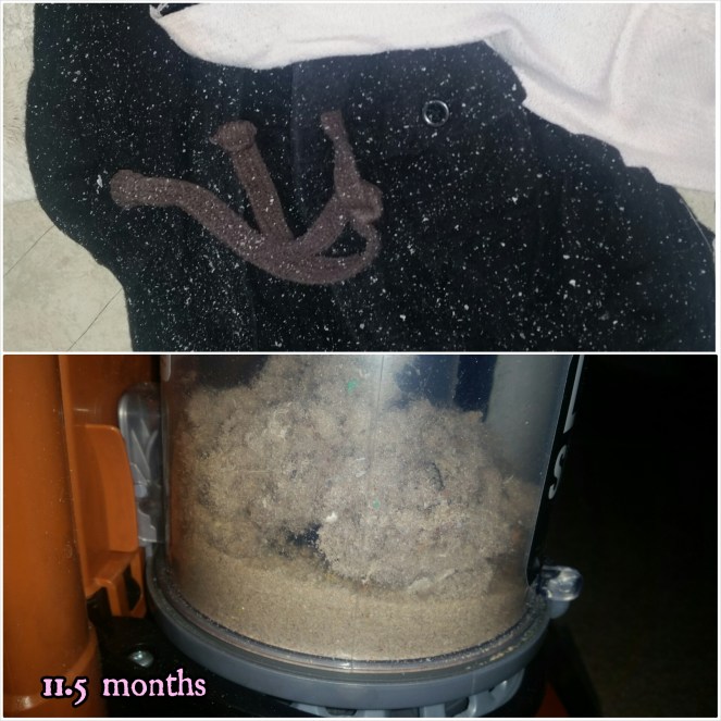 PhotoGrid_1452448751131