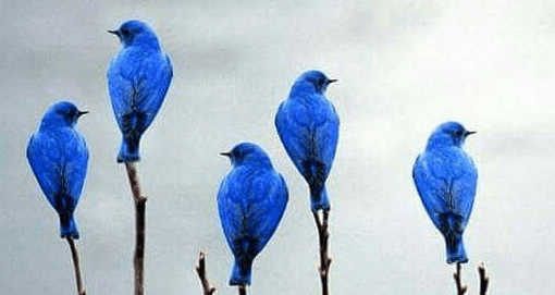 Screen Shot 2016-03-27 at 9.05.46 PM