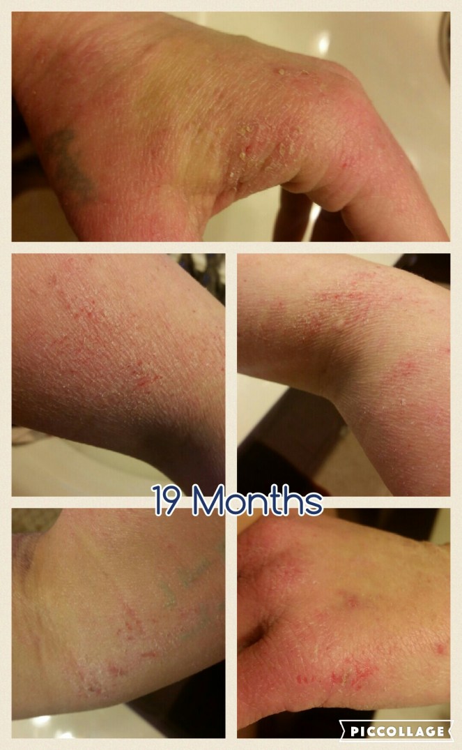 Collage 2016-08-24 15_29_42