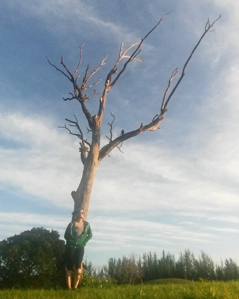 IMG_20170201_182523_681